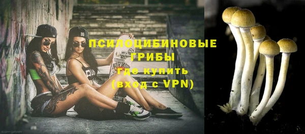 ALPHA PVP Армянск