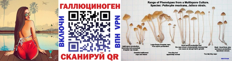 где продают   Кашира  Псилоцибиновые грибы прущие грибы 